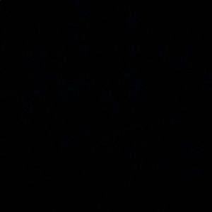 Meet your Posher, Kyden